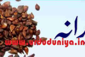quince seeds benefits
