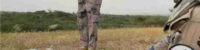 saudi arabia 135 smugglers were arrested in drug smuggling attempt