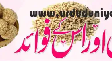 sesame benefits winter