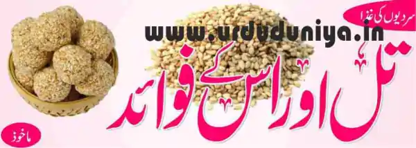 sesame benefits winter