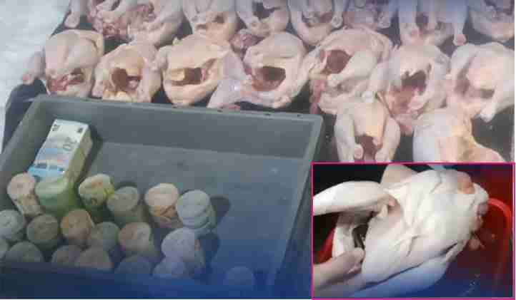 strange attempt to smuggle foreign currency in frozen chicken foiled