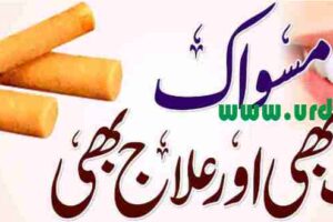 tooth cleaning with miswak