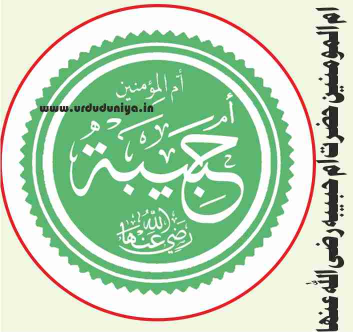 ummul momineen hazrat umm habiba ra