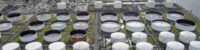us to release 15m barrels of oil reserves officials
