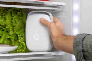 a unique device to reduce odor, prevent bacteria and keep food fresh in the refrigerator