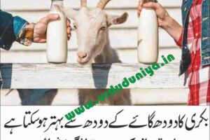 amazing benefits of goat milk
