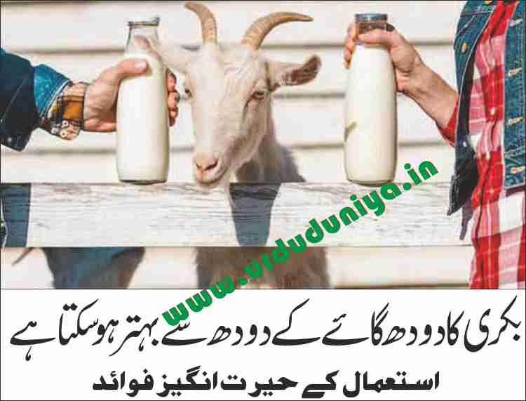 amazing benefits of goat milk