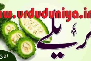 bitter gourd benefits