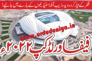 fifa world cup 2022 stadium