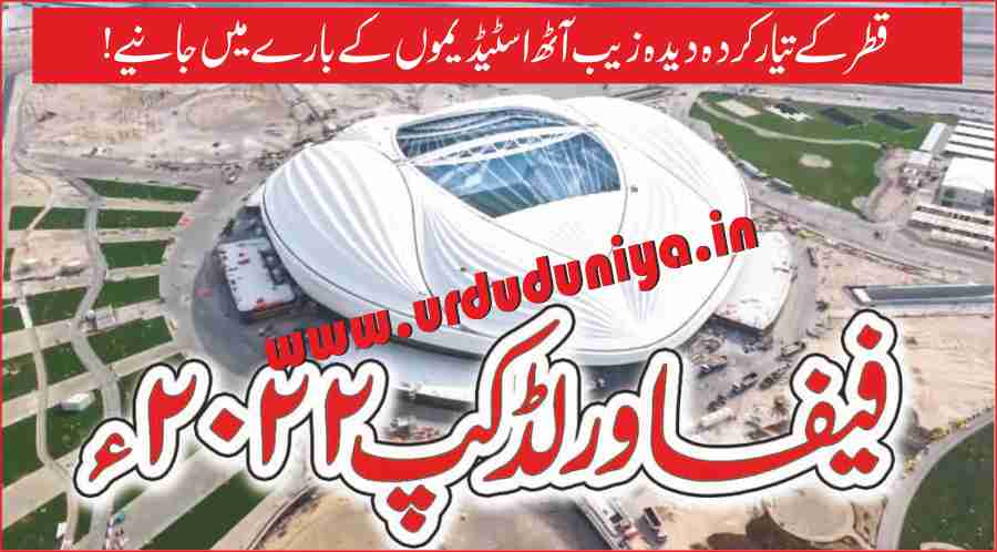 fifa world cup 2022 stadium