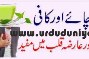 green tea and coffee are useful in stroke and heart disease