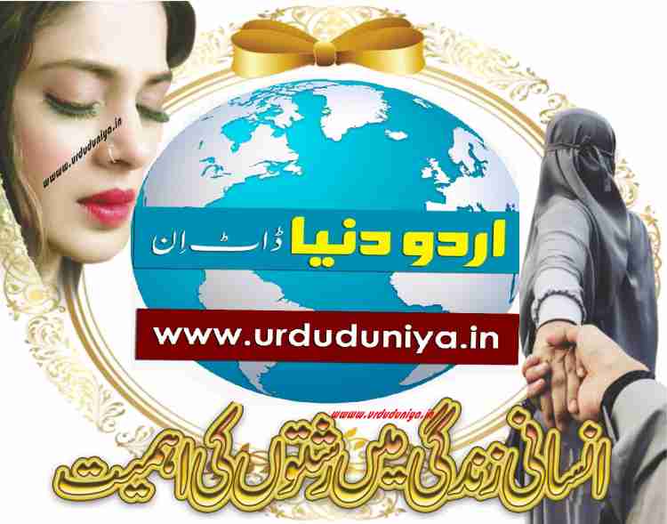 importance of relationships in human life