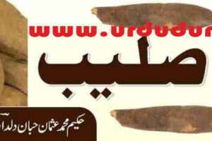 ood saleeb benefits