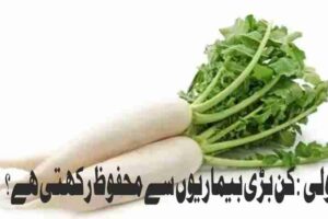 radish what major diseases does it protect against