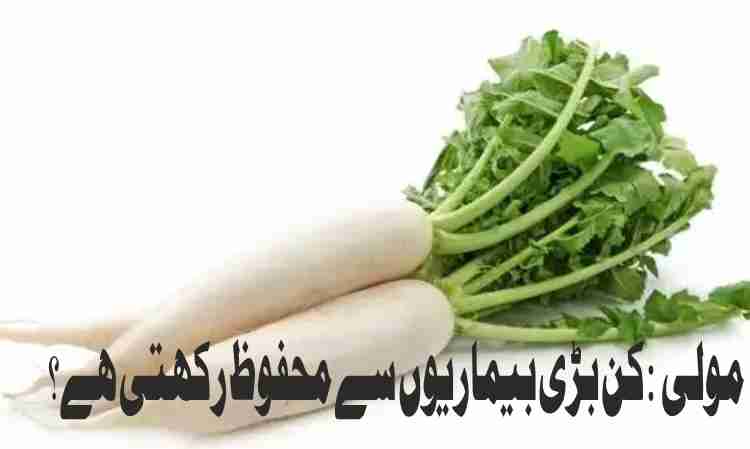radish what major diseases does it protect against