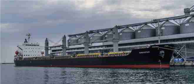 ready to export 5 lakh tons of wheat to needy countries for free russia