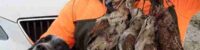 turkish man ozgur gevrekoglu shot dead by his dog during hunting trip