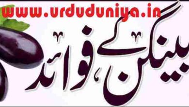 benefits of eggplant