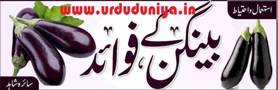 benefits of eggplant