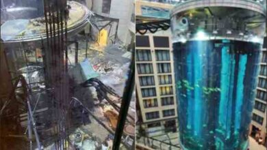 berlin aquarium bursts giant aquarium collapses in germany with thousands of rare fish on the streets