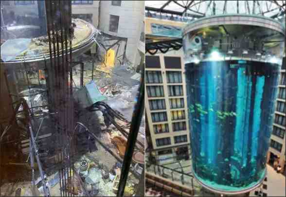 berlin aquarium bursts giant aquarium collapses in germany with thousands of rare fish on the streets