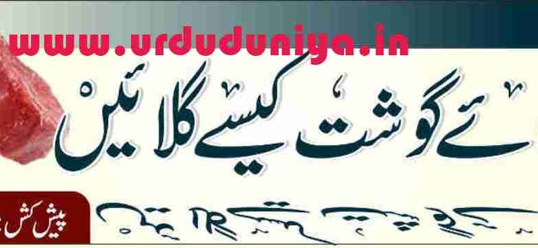 how to grill meat without cooking it