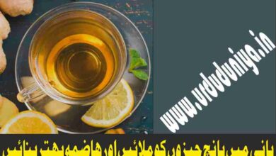 mix 5 things in water and improve digestion