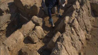 roman tombs discovered during construction in gaza