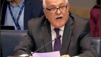 palestinian ambassador riyad h mansour