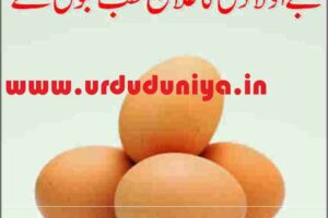 treatment of childlessness