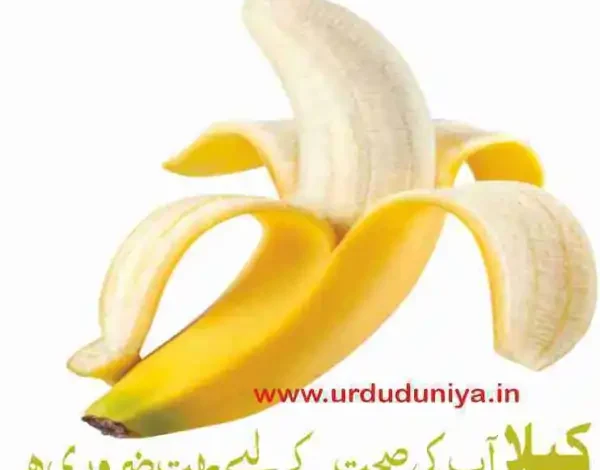 banana night