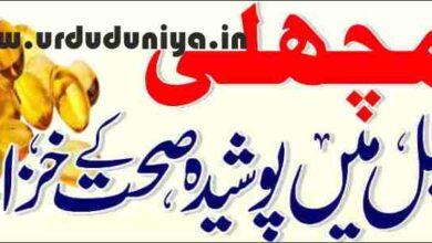 best omega 3 supplement