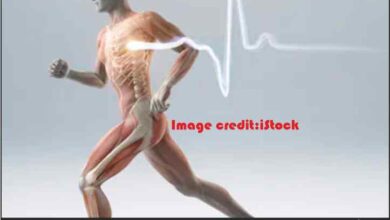 build strong bones for a healthy life