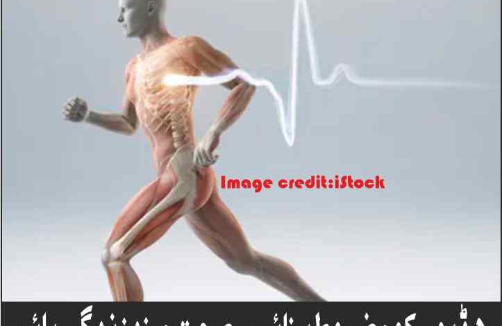 build strong bones for a healthy life