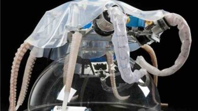 chinese scientists have developed a color changing machine inspired by the octopus