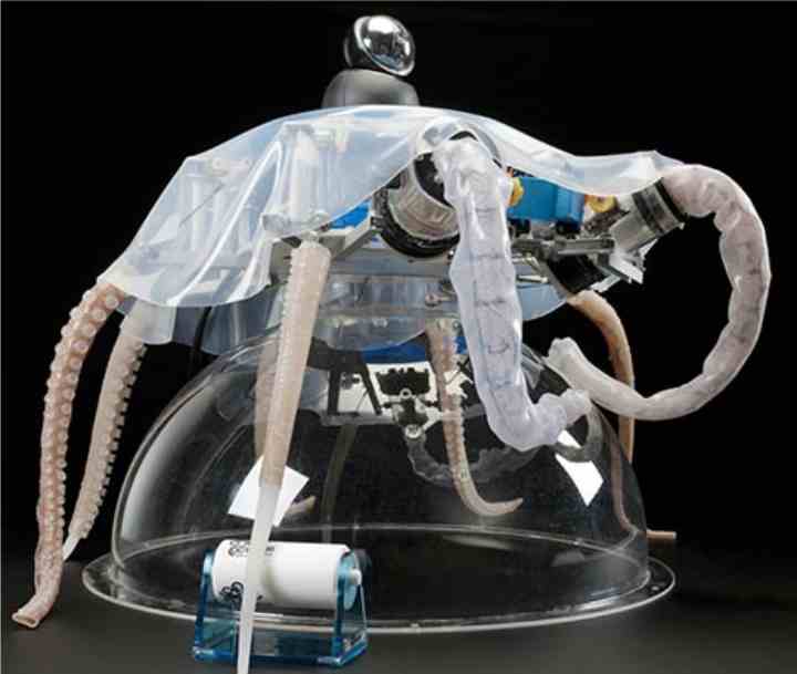 chinese scientists have developed a color changing machine inspired by the octopus