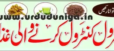 cholesterol controlling foods