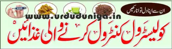 cholesterol controlling foods