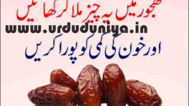 date fruit benefits