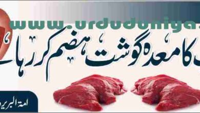 does your stomach digest meat