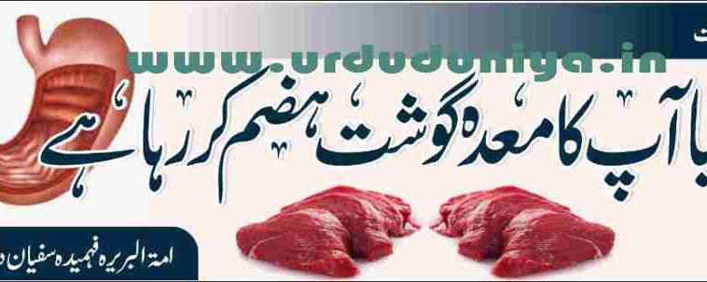 does your stomach digest meat
