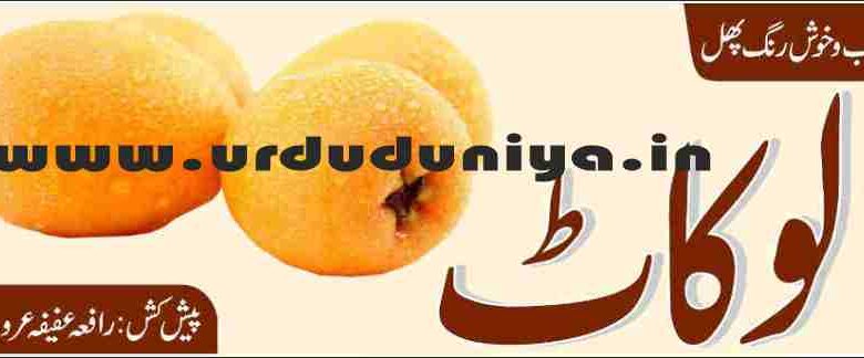 fruit loquat benefits