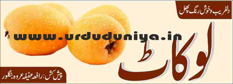 fruit loquat benefits