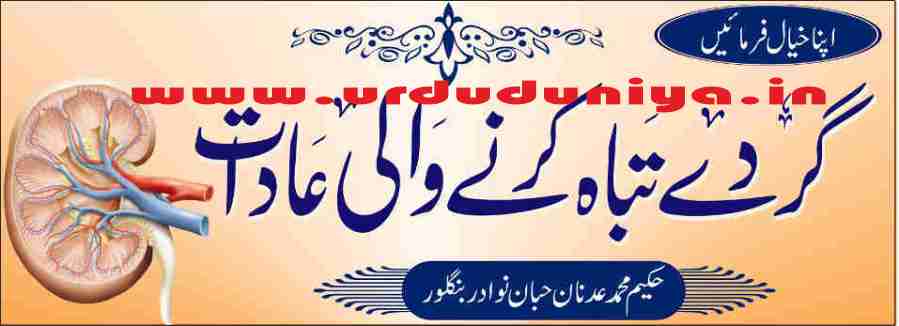 kidney destroying habits