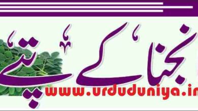 moringa leaves benefits