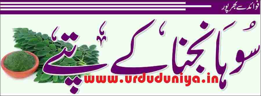 moringa leaves benefits