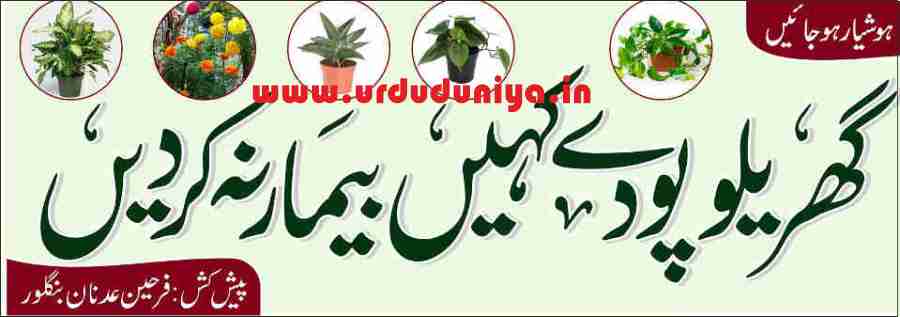 poisonous plants at home