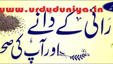 rye grains and your health