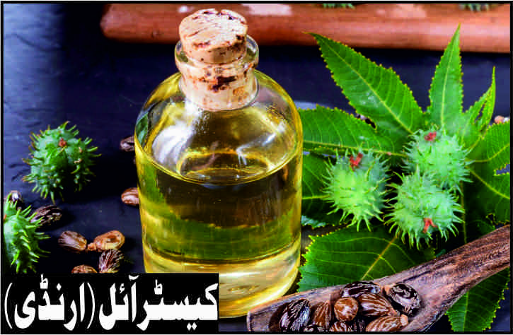 the benefit of castor oil