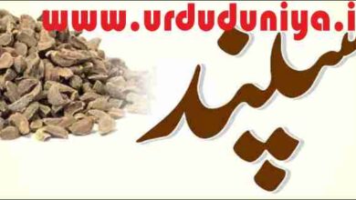 the benefits of pecans